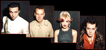  Copyright 1991 by Don Hammerstedt, All Rights Reserved